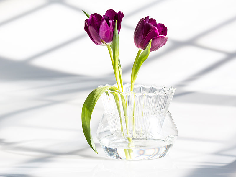 tulip vase - styled splash vase by fferrone